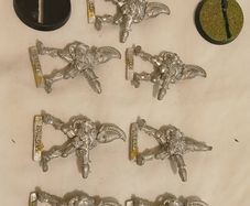 Warhammer Eldar Fire Dragons