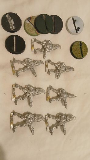 Warhammer Eldar Fire Dragons
