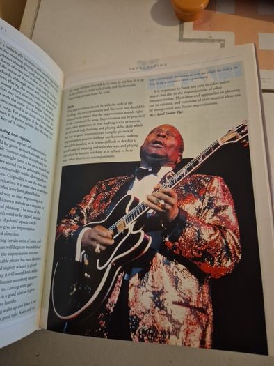 Guitar Facts
