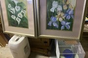 pair of large pictures