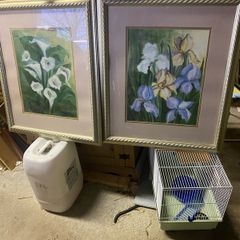 pair of large pictures