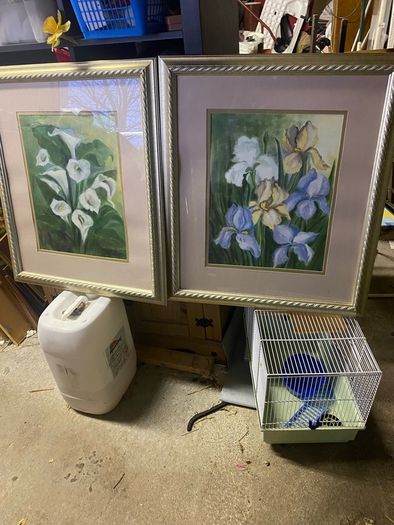 pair of large pictures