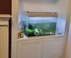 Fish tank 40 l