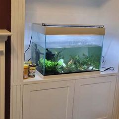 Fish tank 40 l