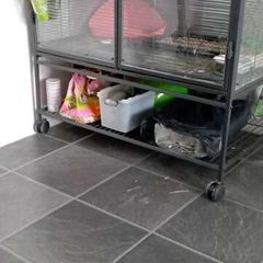 Animal Cage