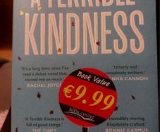 A Terrible Kindness.  Jo Browning Wroe