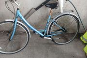 ladies bike