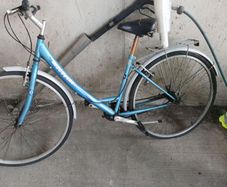 ladies bike
