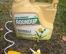 16L Backpack Sprayer + Roundup Hand Sprayer