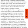 Polyvagal card deck (calm+change mindset) Image 6