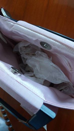 Diva raw silk special occasion BAG