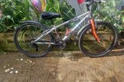Carter Bike