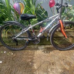 Carter Bike
