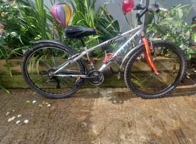 Carter Bike