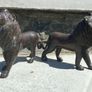 Superb Pair of 19th Century Chinese Antique Bronze Lions Image 4