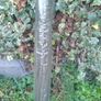 Fishing Landing net Image 3