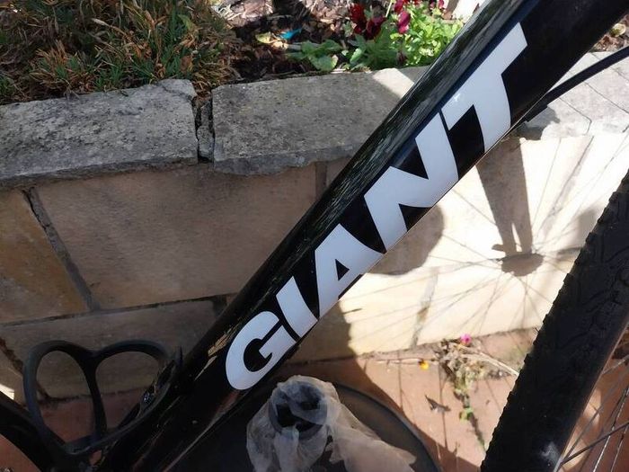 giant escape immaculate