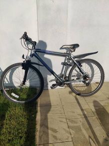 Hybrid bike