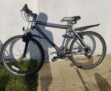 Hybrid bike