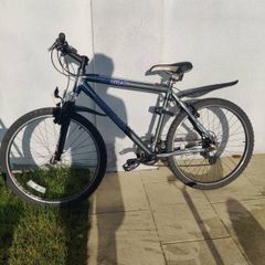 Hybrid bike