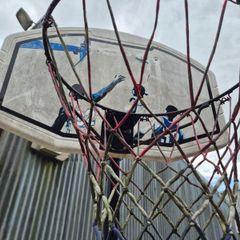 basketball hoop junior