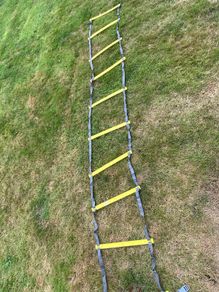 Agility speed training ladder