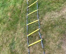 Agility speed training ladder