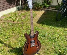 Ibanez Electric Guitar (AS53 Artcore)