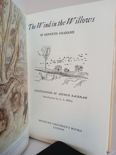 The Wind in the Willows by Kenneth Grahame. Illustrated by Arthur Rackham (PT170)