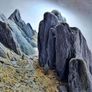 Wild Rhino Stone | 1kg Image 2
