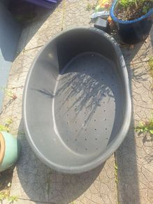 XL Plastic dog bed