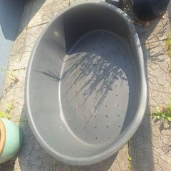 XL Plastic dog bed