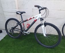 Raleigh MTB