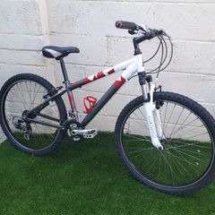 Raleigh MTB