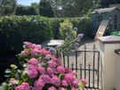 For Any outdoors or Gardening job, small or Big . Image 8