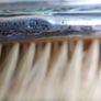 Antique 1800s Sterling Silver Cloth Brush, Art Deco Cloth Brush, 1800s - 97,8g Image 2