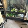 reptile tanks for sale Image 3