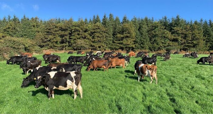 Farm worker required