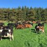 Farm worker required Image 4