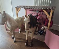 Our generation stables