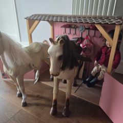 Our generation stables