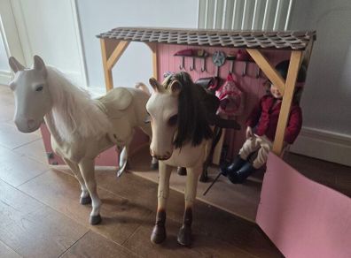 Our generation stables