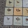 37 X Mid Century Avian Metal Display Plaques Image 4