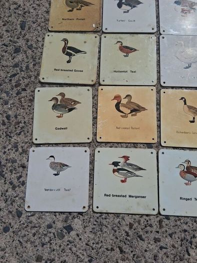 37 X Mid Century Avian Metal Display Plaques
