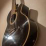Richwood Hybrid Nylon Semi Electro Acoustic Guitar Image 3