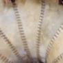 Large Vintage Cow Hide Lampshade Image 5