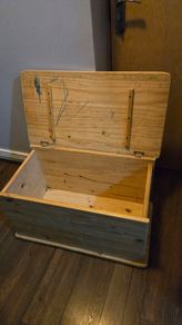 Storage trunk box