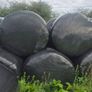 Silage bales Image 6