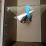 tall boy bathroom cabinets Image 4