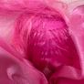 Dream Seekers Soft Plush Fairy Doll Bella Pink Moose Used Please look at the pictures Image 10